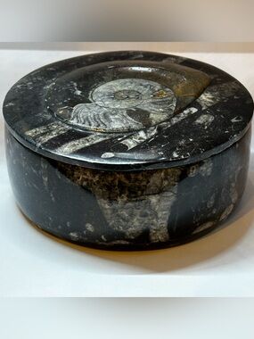 Ammonite Fossil Bowl | Hand Carved Keepsake | Jewelry Trinket Box